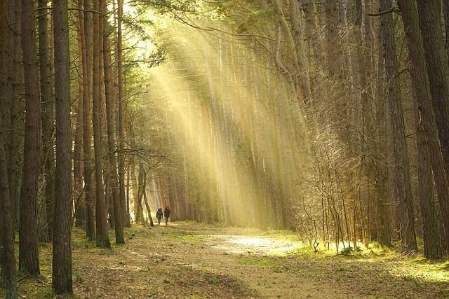 International Relations