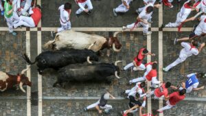 Aerial view of people running with bulls during the famous festival in Spain.