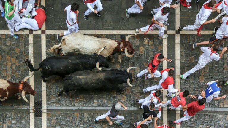 Aerial view of people running with bulls during the famous festival in Spain.