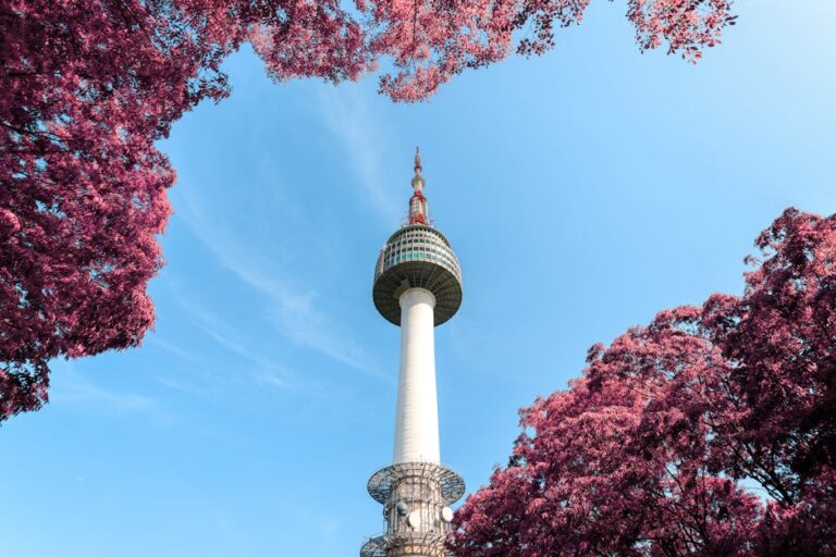 A stunning view of N Seoul Tower surrounded by pink foliage under a clear blue sky in Seoul, South Korea.