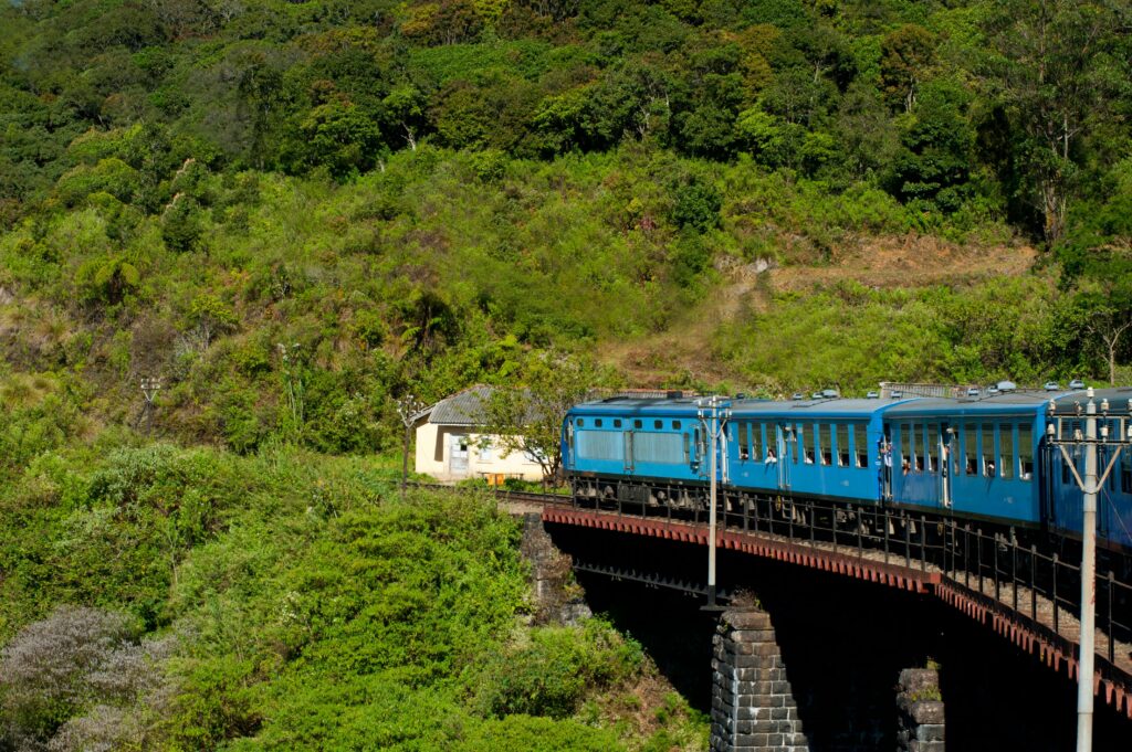Train passing through lush green landscapes of Ella, Sri Lanka, on a sunny day.
